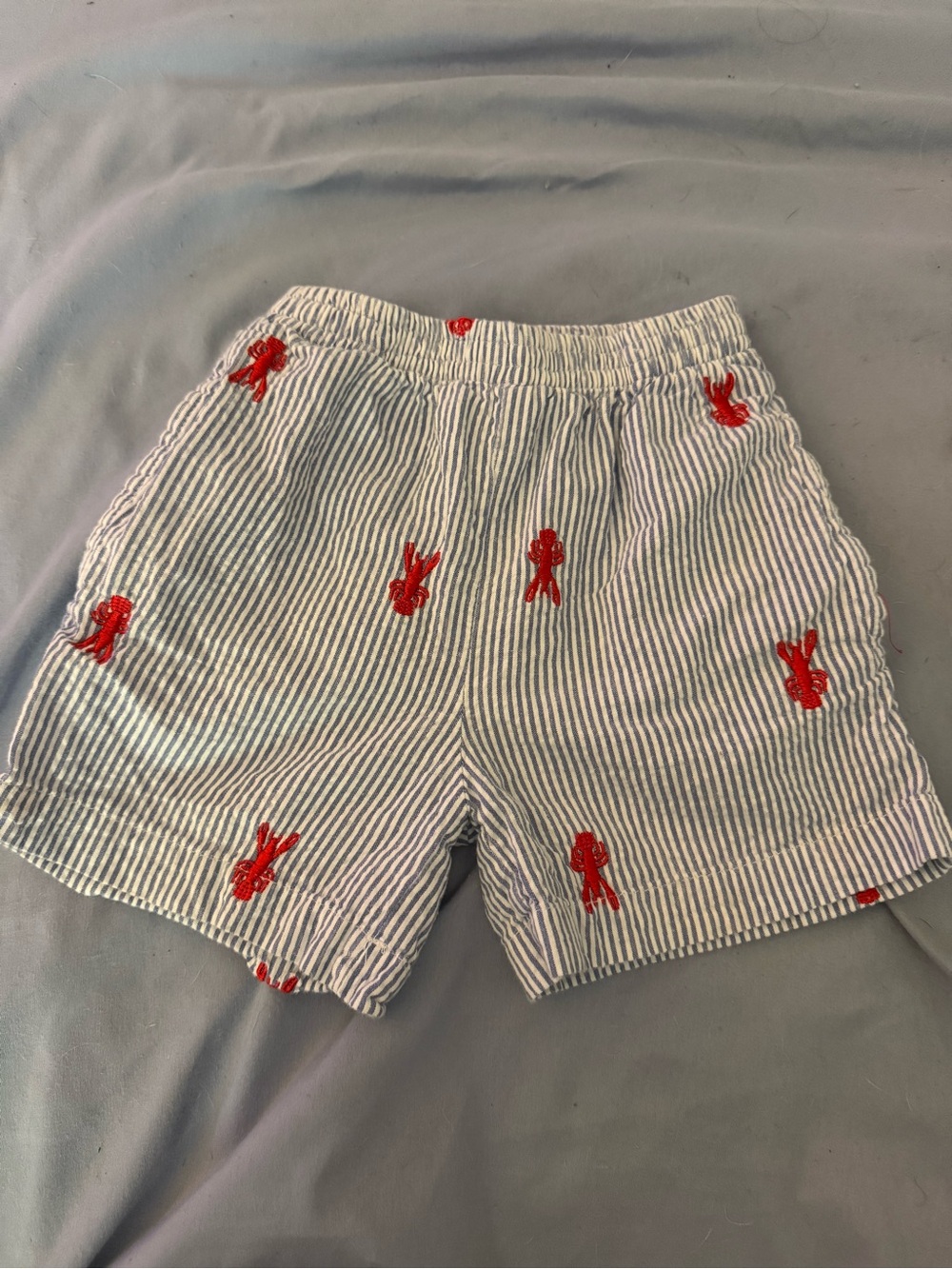 Kids Seersucker Stripe Casual Shorts with Red Embroidered Motifs